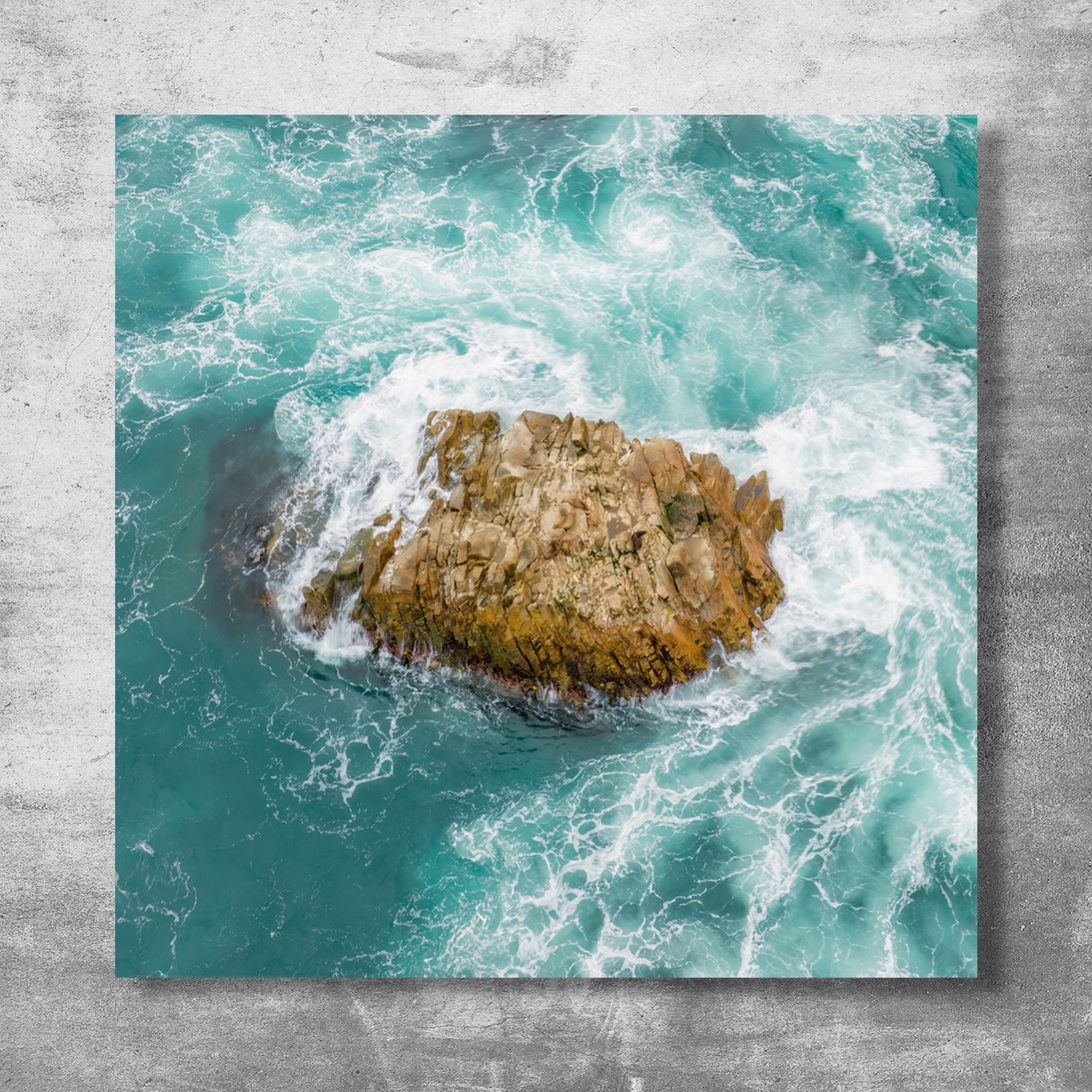 "Vigía Eterno: Refugio de Fauna entre las Olas de ConCon" - Imagen 6