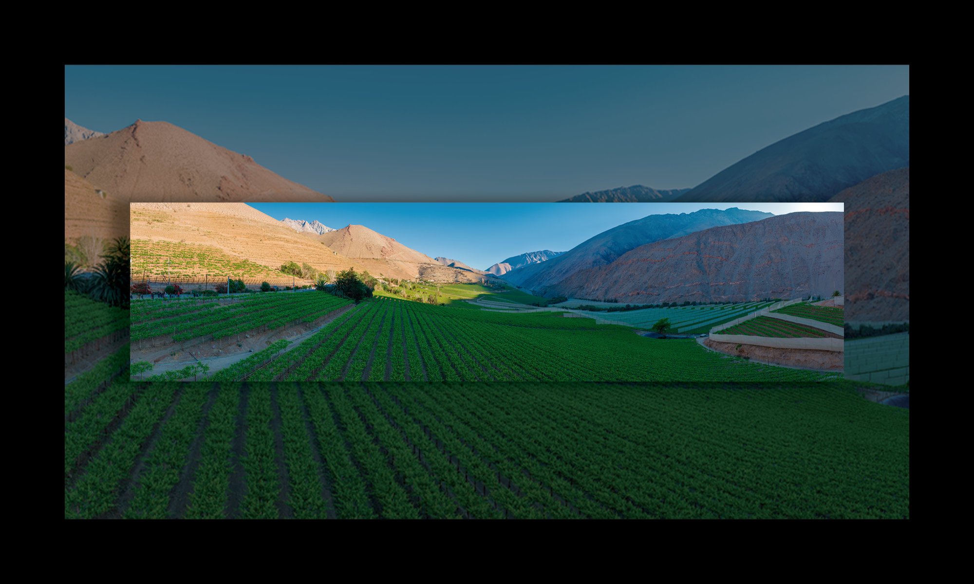 2023_09_30_PANO_108_ALBA_PISCO VALLE DEL ELQUI